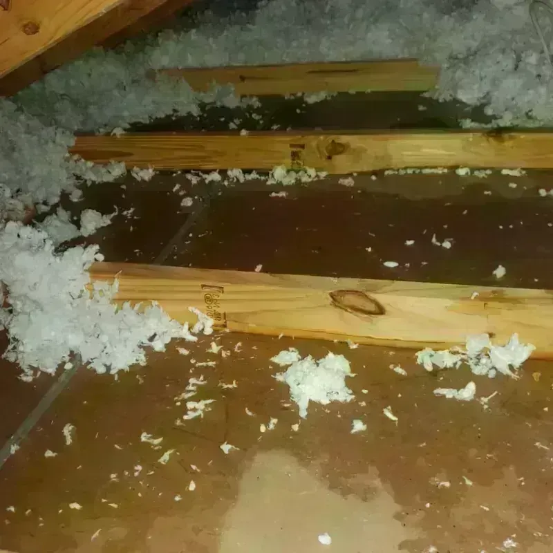 Attic Water Damage in Bull Run Mountain Estates, VA